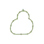 Zaptivka, usisna grana REINZ 71-54049-00 IC-C72AF1