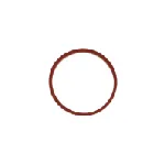 Zaptivka, usisna grana REINZ 71-77546-00 IC-B30E7C