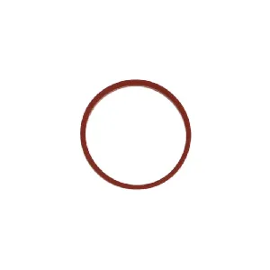 Zaptivka, usisna grana REINZ 71-77546-00 IC-B30E7C