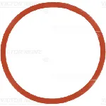 Zaptivka, usisna grana REINZ 71-77546-00 IC-B30E7C