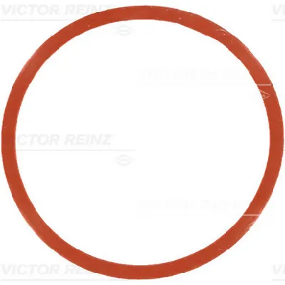 Zaptivka, usisna grana REINZ 71-77546-00 IC-B30E7C