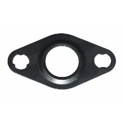 Zaptivka, ventil dopunskog vazduha ELRING EL240080 IC-G09160