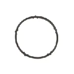 Zaptivka, vod AGR-ventila ELRING EL004070 IC-G0RW83