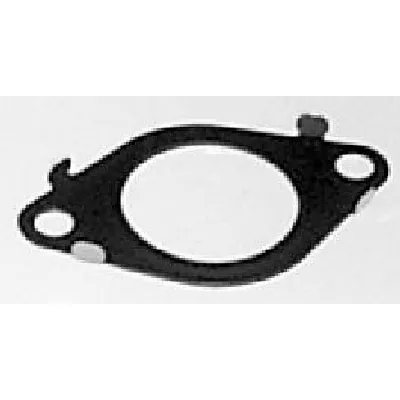 Zaptivka, vod AGR-ventila ELRING EL149670 IC-F8CC77