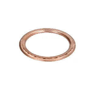 Zaptivni prsten ATHENA S410250012040 IC-E58F36