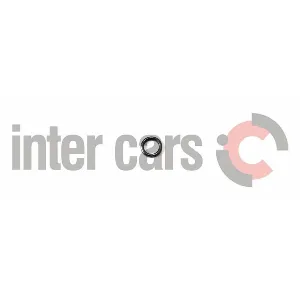 Zaptivni prsten BOSCH 2 440 210 010 IC-973844