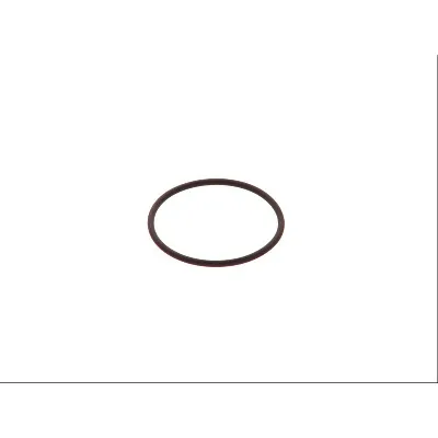 Zaptivni prsten BOSCH F 00H N35 933 IC-A625B3