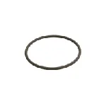 Zaptivni prsten BOSCH F 00N 201 306 IC-B3D7C7