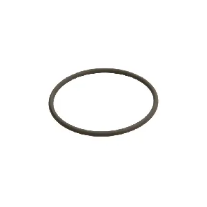 Zaptivni prsten BOSCH F 00N 201 306 IC-B3D7C7