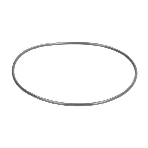 Zaptivni prsten BOSCH F 00N 202 726 IC-C1285D