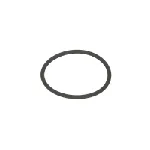 Zaptivni prsten BOSCH F 00R J00 220 IC-AEE1C6