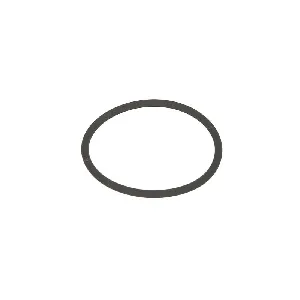 Zaptivni prsten BOSCH F 00R J00 220 IC-AEE1C6