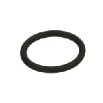 Zaptivni prsten BOSCH F 00R J01 452 IC-B763EB