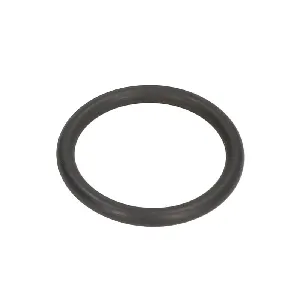 Zaptivni prsten BOSCH F 00R J01 950 IC-E3AE65