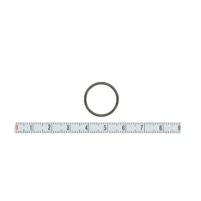 Zaptivni prsten BOSCH F 00V C38 045 IC-AEE205