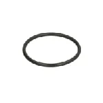 Zaptivni prsten C.E.I 139431 IC-E676F8