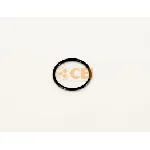Zaptivni prsten C.E.I 139431 IC-E676F8