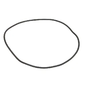 Zaptivni prsten C.E.I 139593 IC-E77FF8