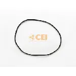 Zaptivni prsten C.E.I 139593 IC-E77FF8