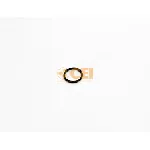 Zaptivni prsten C.E.I 139635 IC-G0U2QN