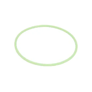 Zaptivni prsten C.E.I 139856 IC-DE9C20