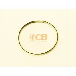 Zaptivni prsten C.E.I 139856 IC-DE9C20