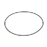 Zaptivni prsten C.E.I 239022 IC-F4ADFD