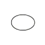 Zaptivni prsten C.E.I 239100 IC-E67746