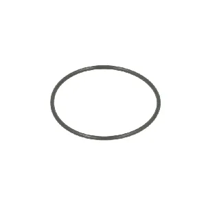 Zaptivni prsten C.E.I 239100 IC-E67746