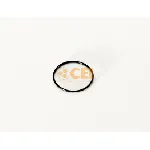 Zaptivni prsten C.E.I 239100 IC-E67746