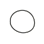 Zaptivni prsten C.E.I 239196 IC-E67747