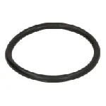 Zaptivni prsten C.E.I 239207 IC-G05CO8