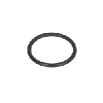 Zaptivni prsten C.E.I 239220 IC-F78834