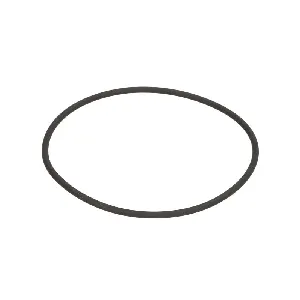 Zaptivni prsten C.E.I 239228 IC-G0KELF