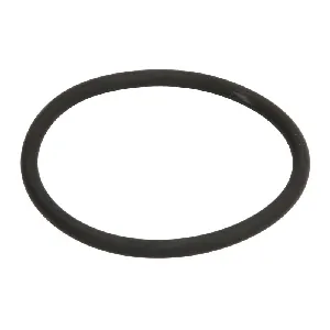 Zaptivni prsten C.E.I 239294 IC-G0U5EQ