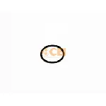 Zaptivni prsten C.E.I 239294 IC-G0U5EQ