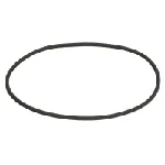 Zaptivni prsten C.E.I 239311 IC-G0UQ62