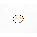 Zaptivni prsten C.E.I 239311 IC-G0UQ62