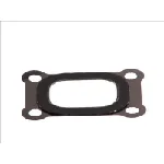 Zaptivni prsten, crijevo interkulera LEMA LE21505.55 IC-480630