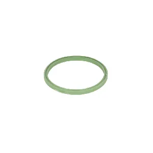 Zaptivni prsten, crijevo interkulera THERMOTEC DXW008TT IC-E347F6 Zaptivni prsten, crijevo interkulera THERMOTEC DXW008TT IC-E347F6