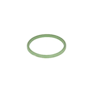 Zaptivni prsten, crijevo interkulera THERMOTEC DXW008TT IC-E347F6