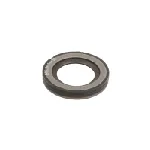 Zaptivni prsten DELPHI DEL28216803 IC-D0C048