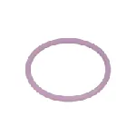 Zaptivni prsten DELPHI DEL7200-0054 IC-CF579A