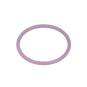 Zaptivni prsten DELPHI DEL7200-0054 IC-CF579A