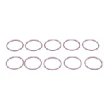 Zaptivni prsten DELPHI DEL7200-0054 IC-CF579A