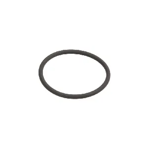 Zaptivni prsten DELPHI DEL7200-0100 IC-D0CC93