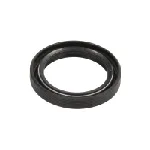 Zaptivni prsten DELPHI DEL9107-406 IC-A05D62