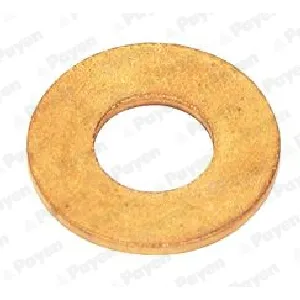 Zaptivni prsten, držač dizne CURTY-PAYEN KG5078 IC-G0RFFZ