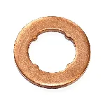 Zaptivni prsten, držač dizne ELRING EL189130 IC-G0LWOJ