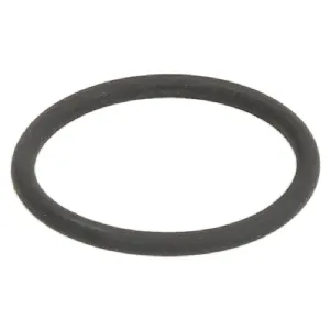 Zaptivni prsten, držač dizne ELRING EL219950 IC-G0SROB